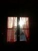 PICT0178.jpg